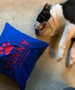 Man's Best Friend Cushion