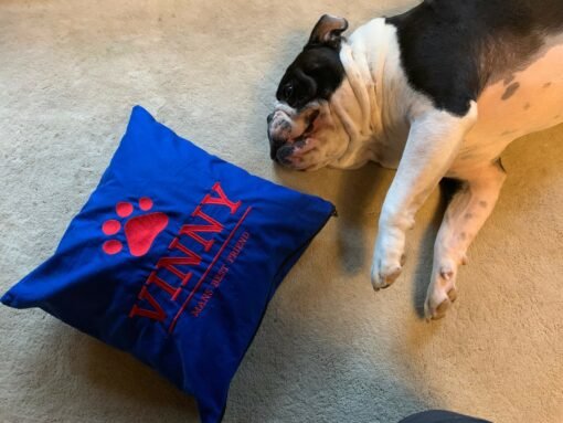 Dog Cushion blue and red