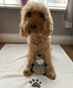 Nala grey writing paw blanket example 1