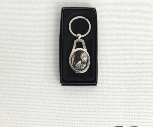 Scan Picture Key Ring