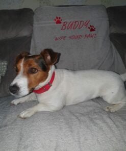 buddy red and grey towel example scaled