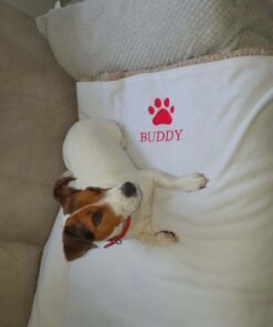 buddy red writing blanket example 1