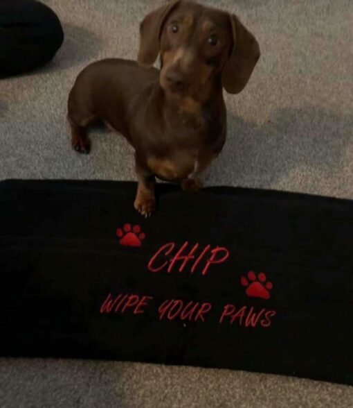 chip wipe your paws red writing black towel example 1