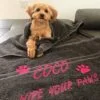 coco example