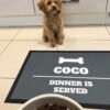 coco example 3