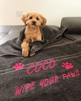 coco