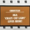 crazy cat lady