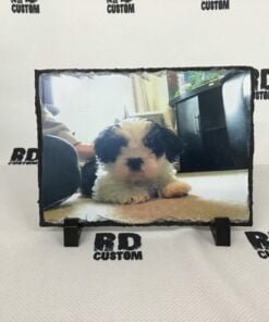 dog 1 1