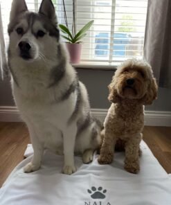 nala and deisel grey writing paw blanket example
