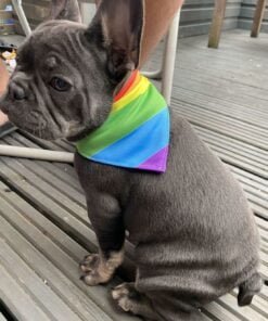 rainbow example 1