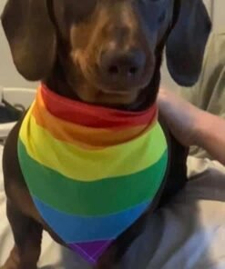 rainbow example 3