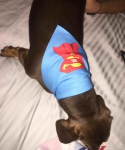 super dog example 2