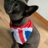 union jack example coco 1 e1594025406576