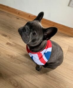 union jack example coco 2