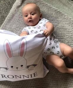 rabbit example 4 e1594028685574