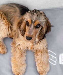 Personalised Pet Blanket