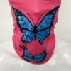 butterfly 1