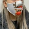 rudolph 2